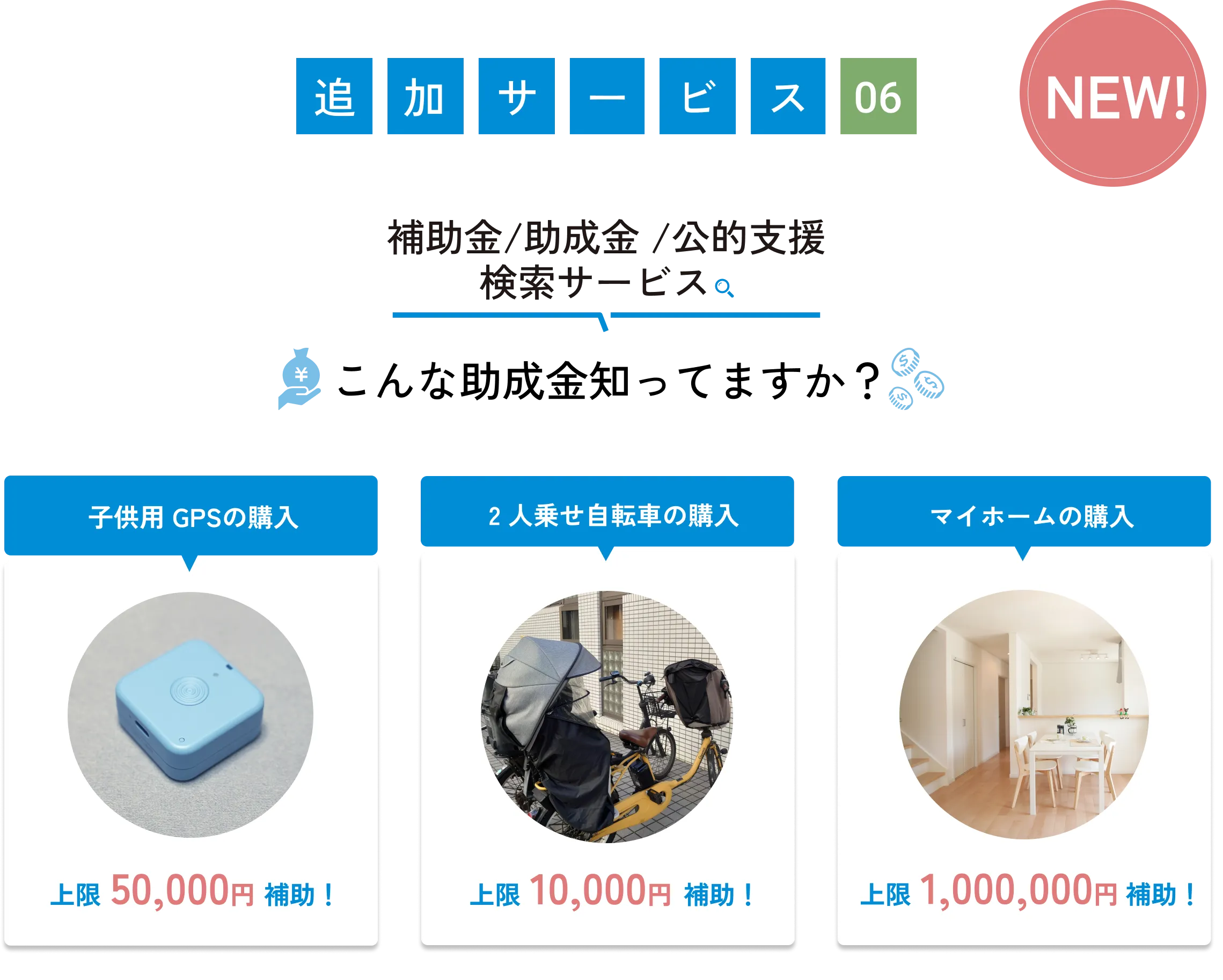 
            追加サービス06（NEW!）
            補助金/助成金/公的支援検索サービス
            